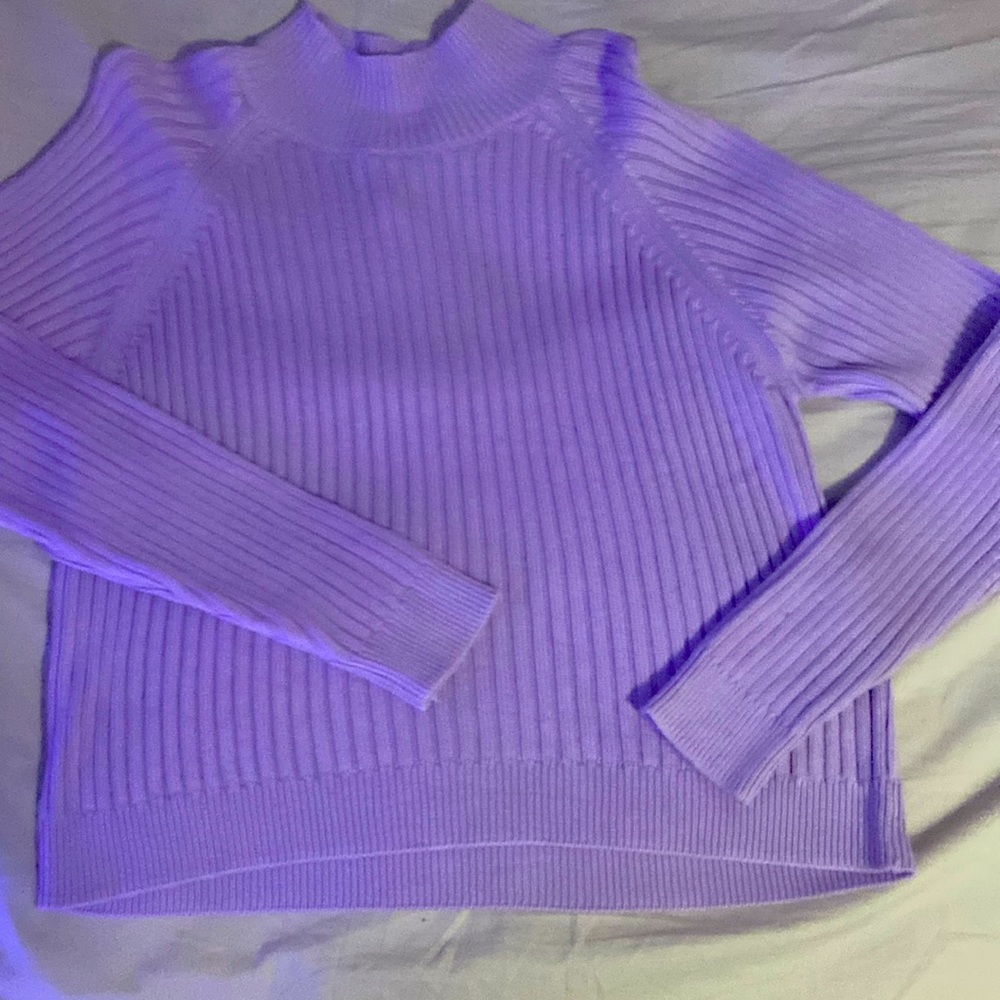 Size large never worn tags on purple Circus Ny sweater